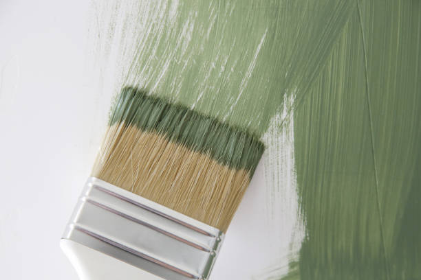 Best Mold Damage Restoration  in Union City, OH