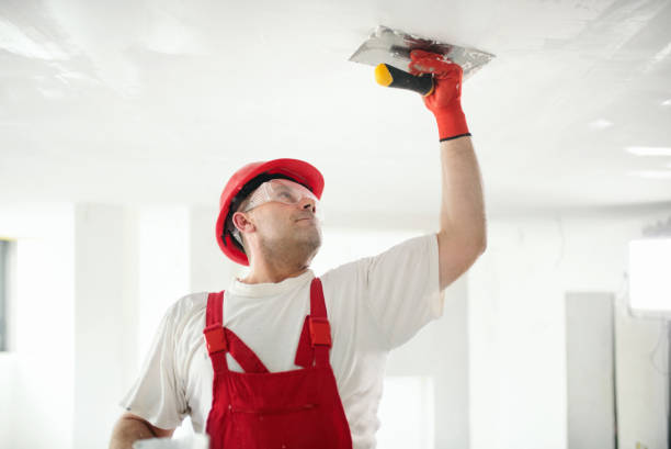 Best Asbestos and Lead Testing During Mold Inspection  in Union City, OH