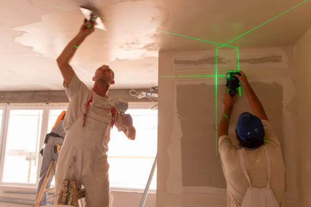 Best Real Estate Mold Inspection  in Union City, OH
