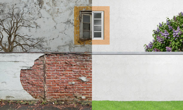  Union City, OH Mold Removal Pros